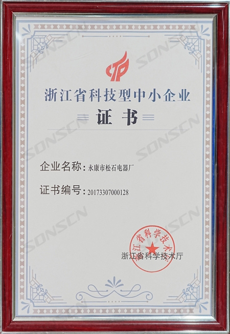 Zhejiang Science and Technology-oriented Small and Medium-sized Enterprise